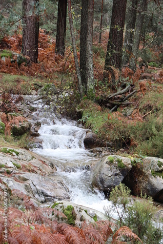 Fototapeta Naklejka Na Ścianę i Meble -  Mountain stream