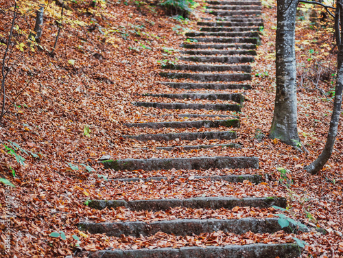 Cobblestone hiking path called Royal Path (Poteca Regala) in Sinaia, Romania. Autumn landscape in Carpathian Mountains. Stone steps in the woods. photo