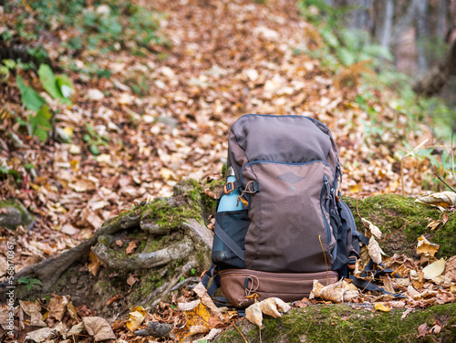 Outdoor backpack next to a tree trunk with green moss in the forest. Hiking excursion concept,