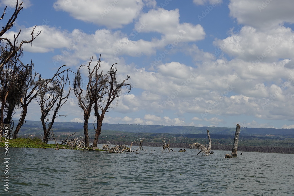 Kenya - Lake Naivasha - Crescent Island - boat view - various birds Kenya - Lake Naivasha - Crescent Island - boat view - various birds
