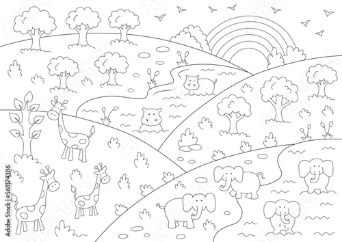 Photography animals coloring page