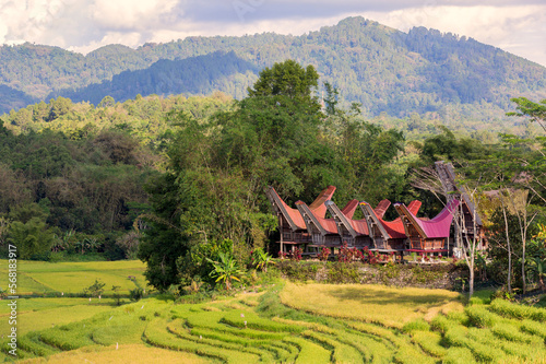 Tongkonan is a traditional house of the Toraja tribe which is usually used as a rice barn and a place to live. Noise and grainy images.