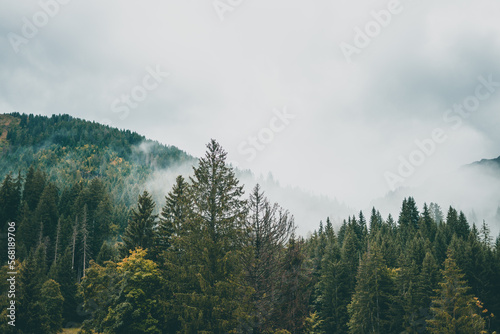 Majestic mountains in the Alps covered with trees and clouds