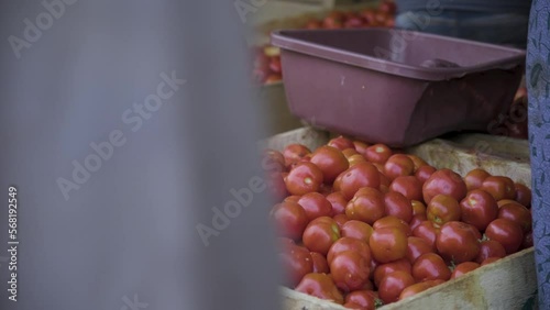 Ripe tomatoes in a wooden crate photo