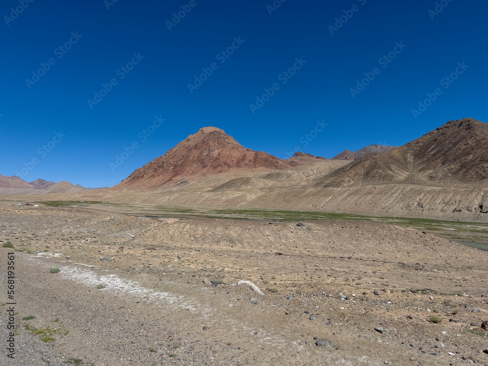 A green meadow at an altitude of 4600 m above sea level.