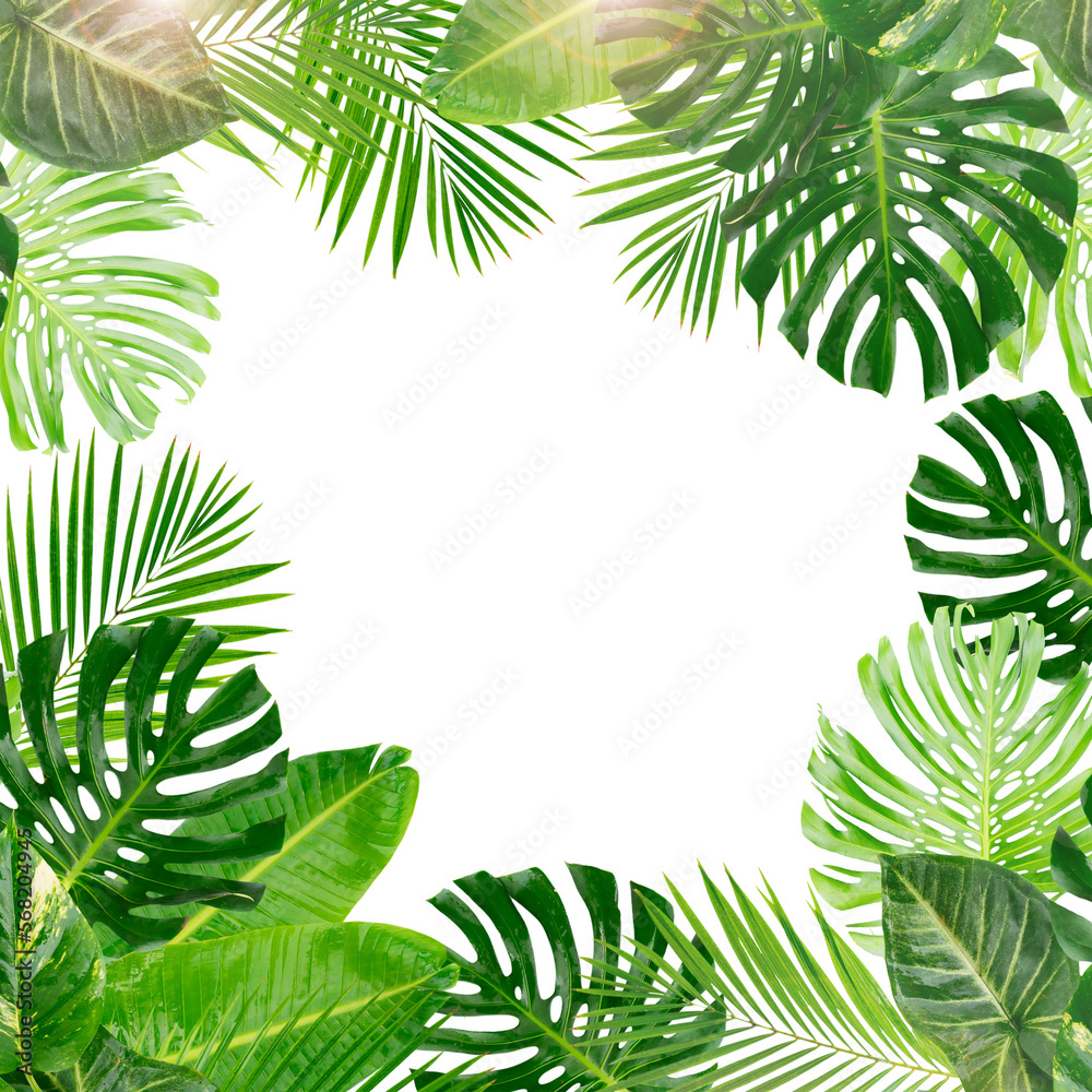 tropical leaves isolated, png file
