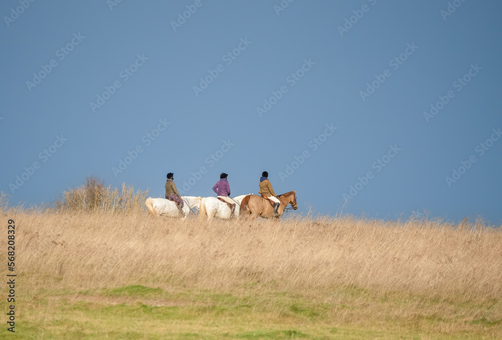 horse and riders exercising in countryside