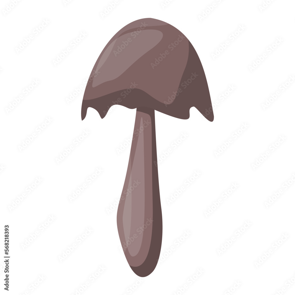 Coprinus mushroom. Edible Organic mushrooms. Truffle brown cap. Forest wild mushrooms types. Coprinus mushroom. Edible Organic mushrooms. Truffle brown cap. Forest wild mushrooms types.