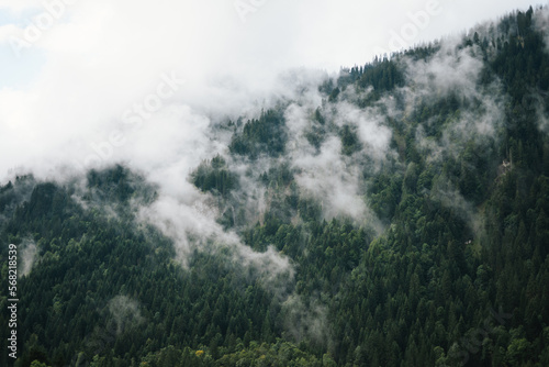 Majestic mountains in the Alps covered with trees and clouds