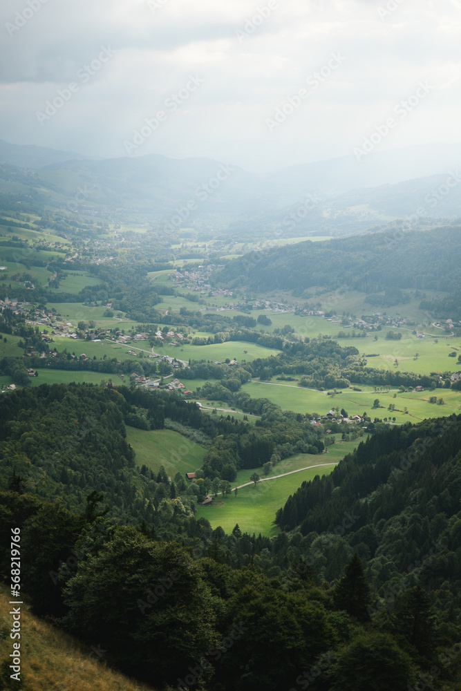 Fototapeta premium Majestic mountains in the Alps covered with trees and clouds
