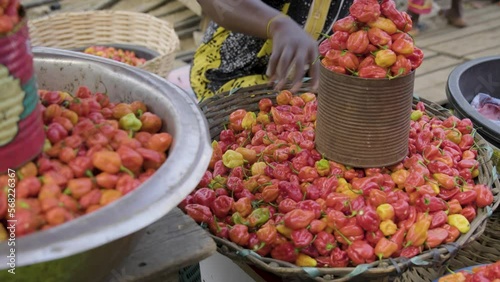 Red pepper in a basket 