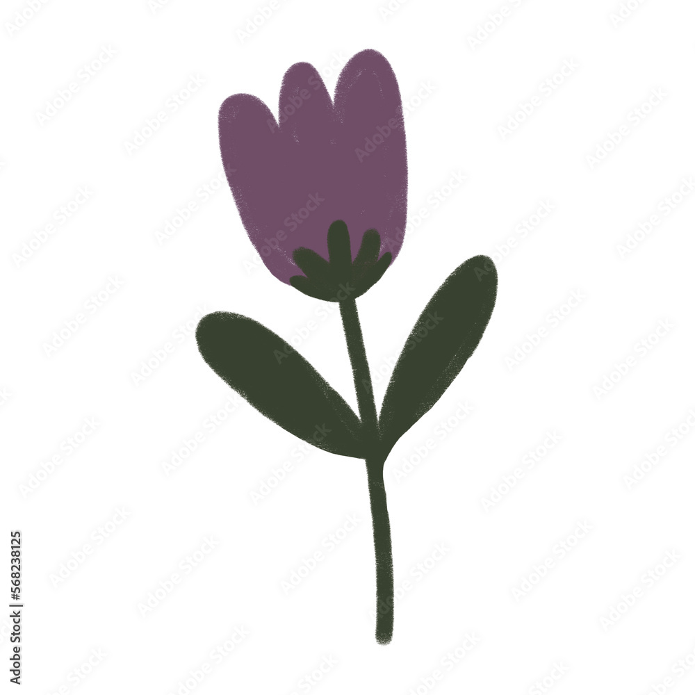 Spring Theme Purple pink Tulip Flower Illustration 