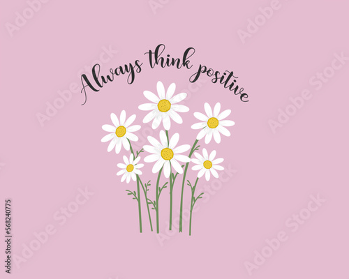pink flower  daisy background