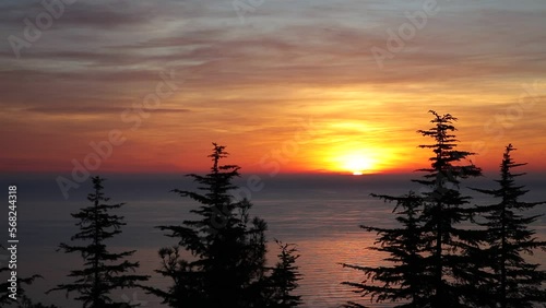 Sunrise of the golden disk of the sun over the sea with the illuminated red sky and reflection on the surface of the water a view of the landscape from a high place behind a pine tree