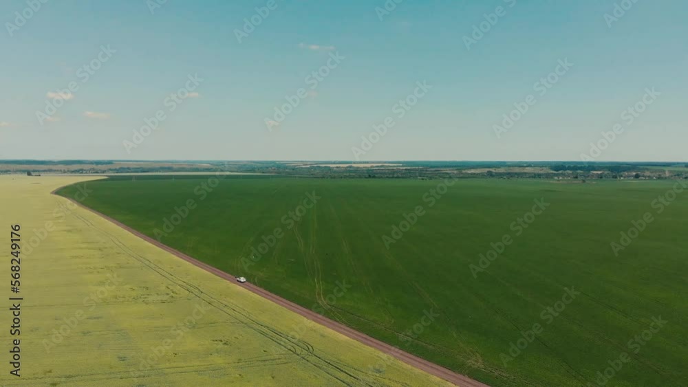 Beautiful wheat field green aerial view Beautiful wheat field green aerial view