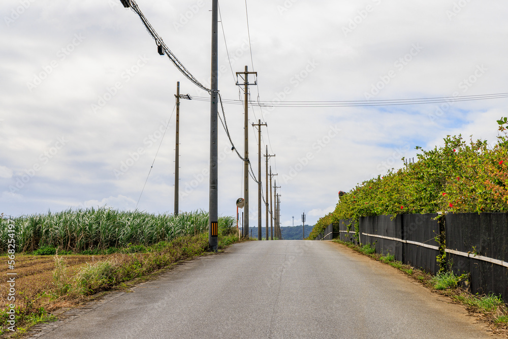 田舎の一本道 田舎の一本道