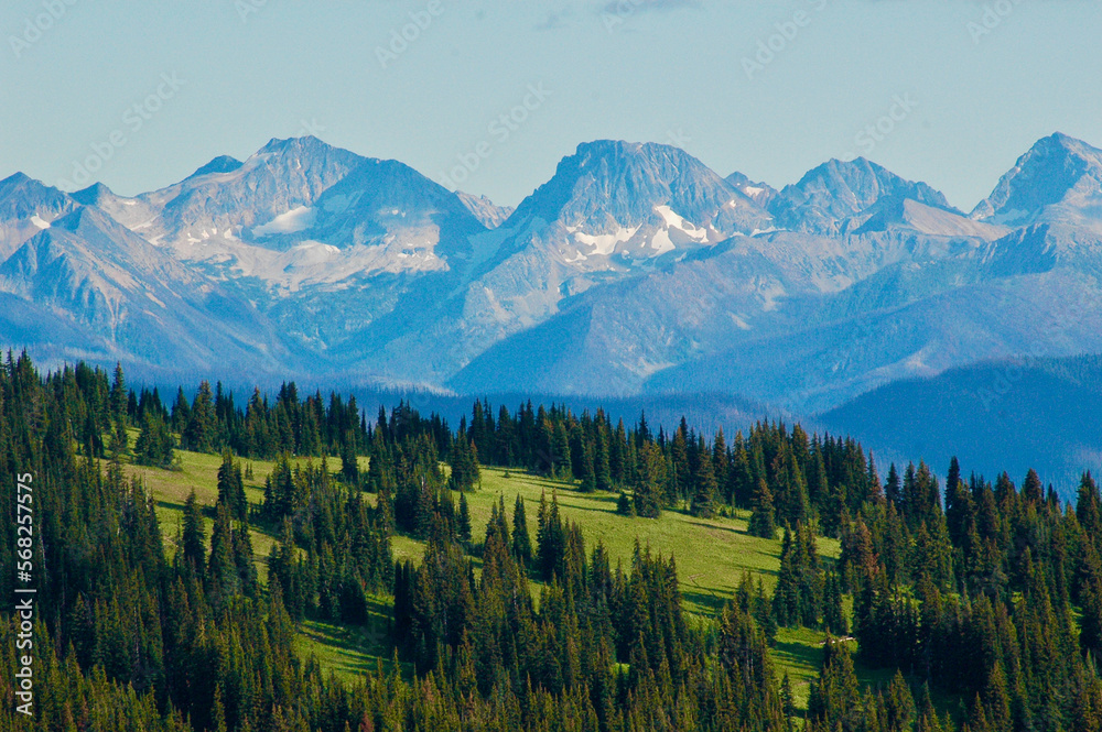 Fototapeta premium Mountains over the meadow