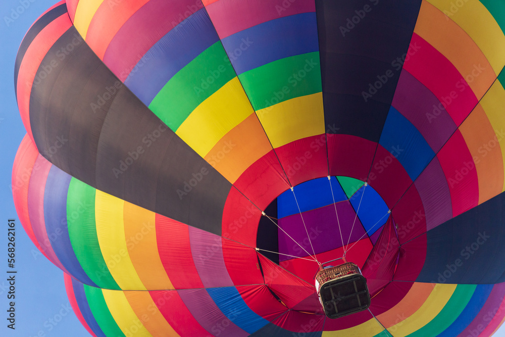 Obraz premium 佐賀バルーンフェスタ会場でバルーンを見上げる