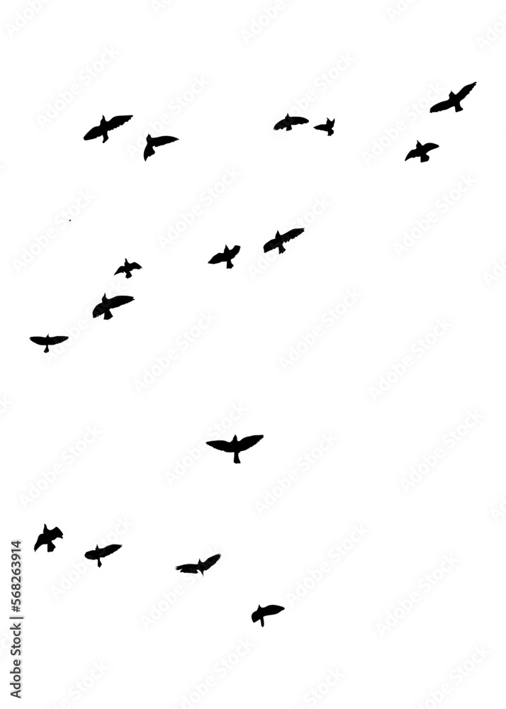 Black vector flying birds flock silhouettes isolated on white background