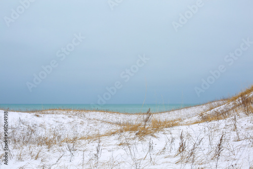 Fototapeta Naklejka Na Ścianę i Meble -  dunes in the sand