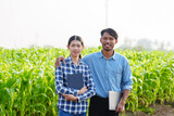 Working together Asian couple farmer works and monitors the growth of corn plants in a corn field to prepare fertilizers to increase the yield of healthy, healthy corn, well-weighted maize.