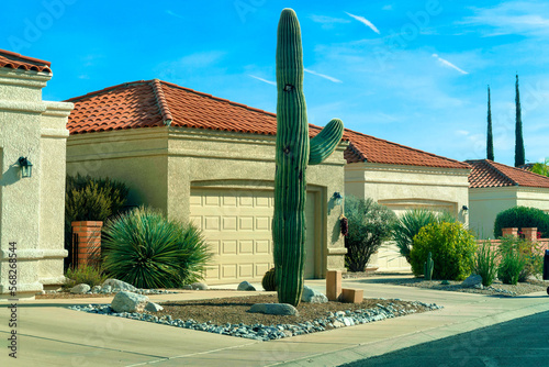 Row of modern adobe houses in desert suburban community with rock garden and cactuses with arizona plants in front yard