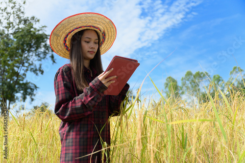 Asian young farmer woman read or analysis a report in tablet computer on a agriculture field.Researcher working on the rice farm.The new generation of farmer using tablet study the development of rice