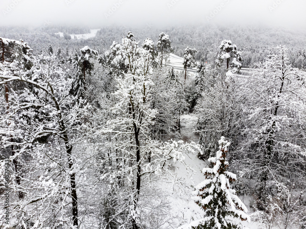 Fototapeta premium Snowy mountain landscape. Trees covered with snow. Drone aerial view