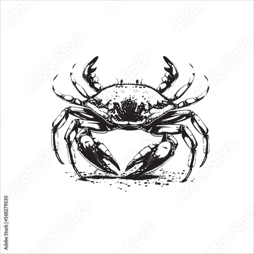 Black and White Crab Vector