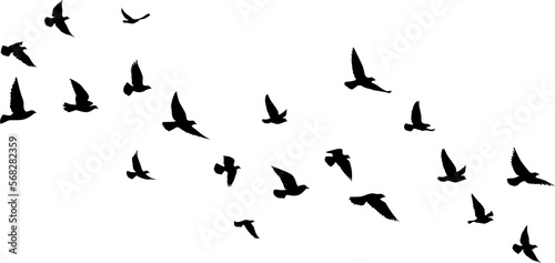 Flying birds silhouettes pattern wallpaper. PNG transparent. isolated bird flying. tattoo design. template for card  package  and wallpaper. 