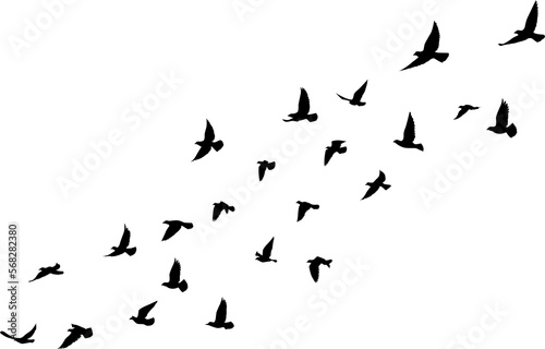 Flying birds silhouettes pattern wallpaper. PNG transparent. isolated bird flying. tattoo design. template for card, package, and wallpaper.
