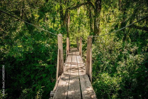 Vista da ponte em um caminho qualquer no meio do mato photo