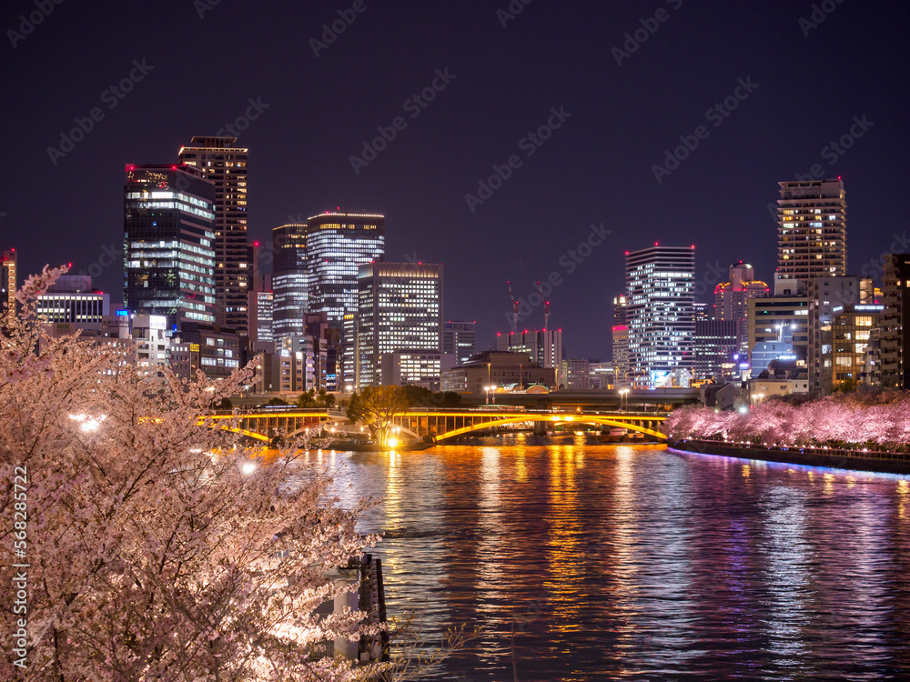 天満橋からの夜桜