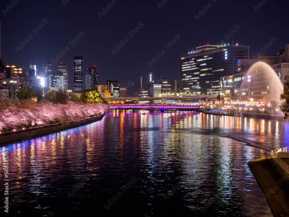 Obraz premium 天神橋からの夜桜