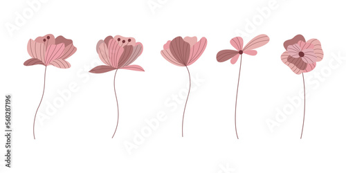 Collection of pink flower in vintage style
