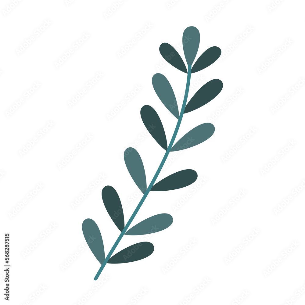 simple leaves isolated