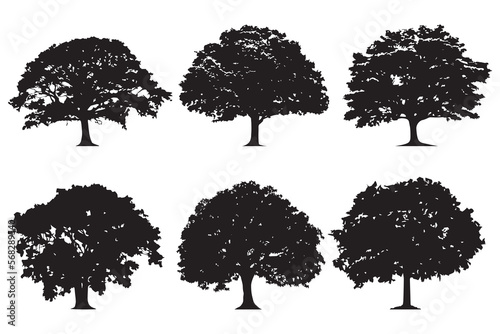 Black tree silhouettes on white background. Red maple, sugar maple, oak, poplar, green oak, birch, mango. Vector illustration.
