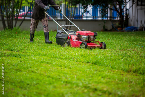 Red Lawn mower cutting grass © chitsanupong