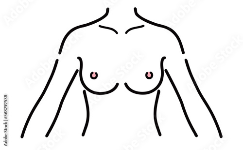 裸体の女性の上半身を正面から見たイラスト
