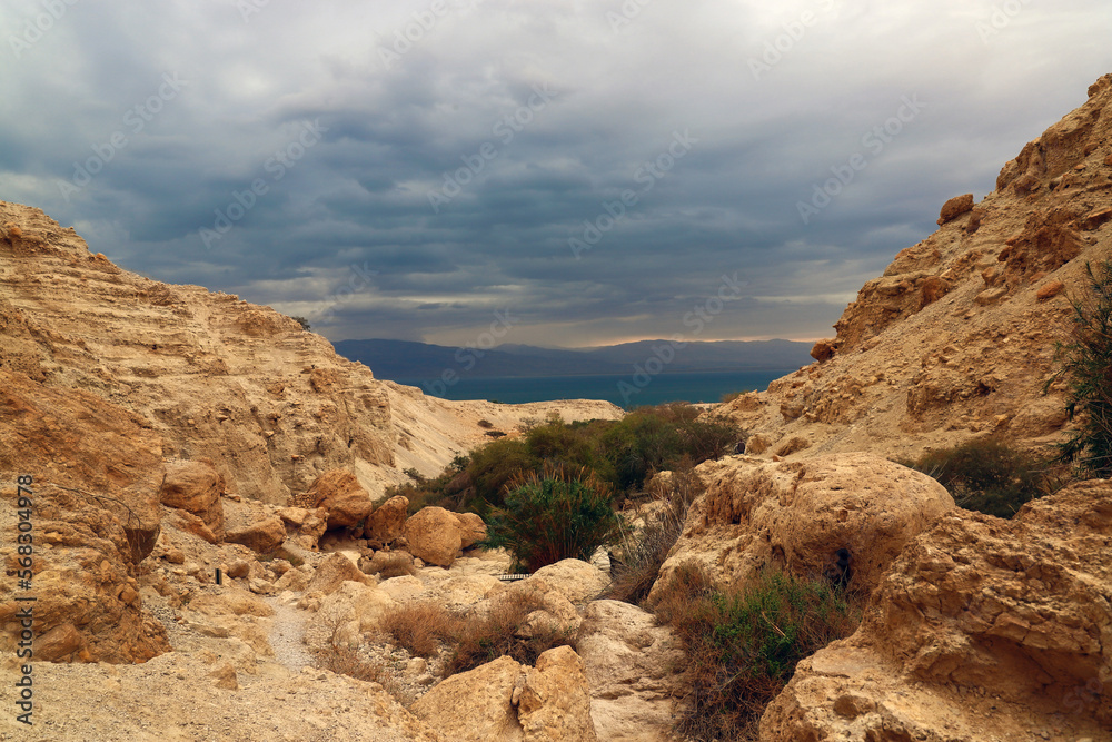 Ein Gedi National Nature Reserve. Israel.