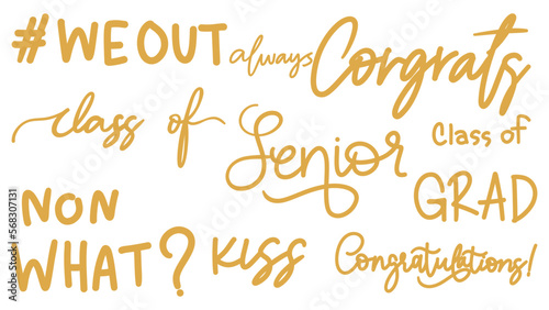 Graduation drawn calligraphy set in congratulations isolated on white background, Vector illustration EPS 10