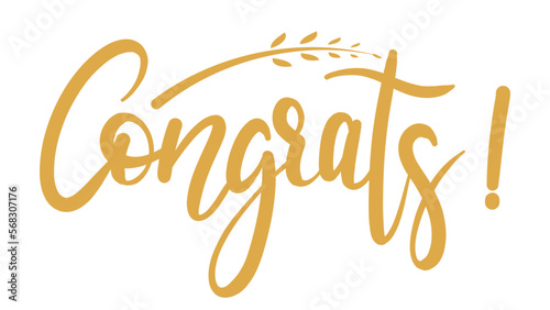 Graduation drawn calligraphy set in congratulations isolated on white background, Vector illustration EPS 10