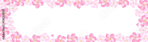 水彩の桜の花の華やかなフレーム　ワイド