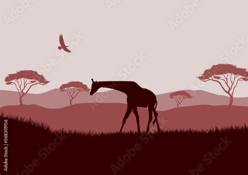 Silhouette of a giraffe in the African savannah, vector illustration for background design.