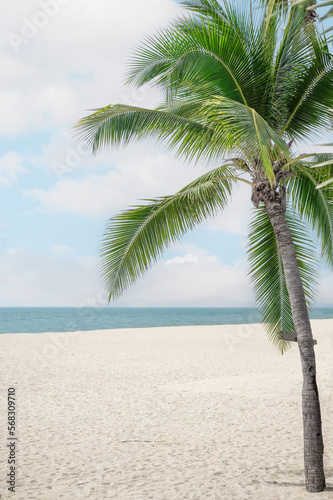 Summer beach background. White Sand and sea. Palm tree and amazing cloudy blue sky at tropical beach island in Indian Ocean.