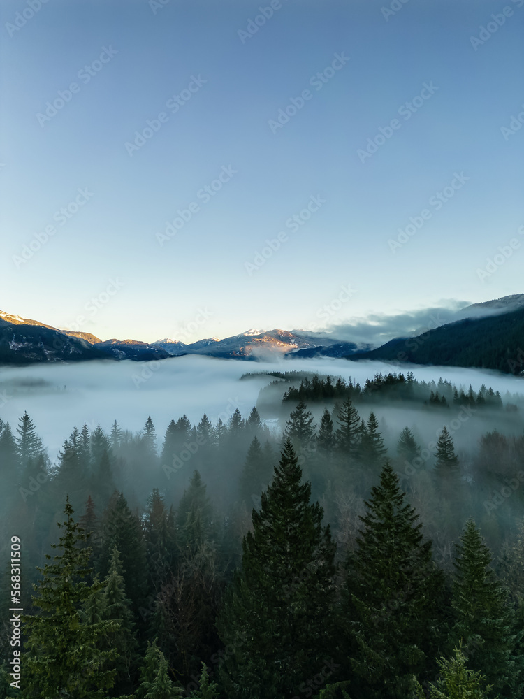 Green Trees in Forest with Fog and Mountains. Winter Sunny Sunrise. Canadian Nature Landscape Background. Near Squamish, British Columbia, Canada. Green Trees in Forest with Fog and Mountains. Winter Sunny Sunrise. Canadian Nature Landscape Background. Near Squamish, British Columbia, Canada.