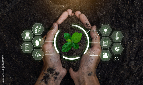 Fotografie Smart farming holding young plant