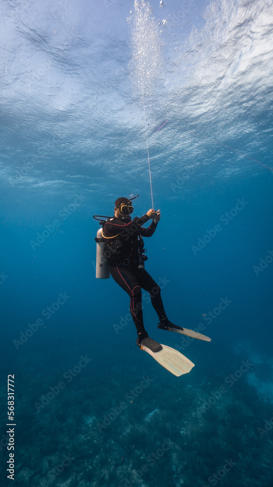 scuba dive instructor doing the safety stop