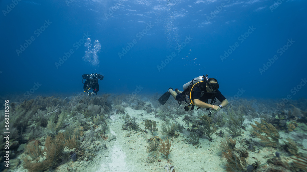The loving couple dives among corals and fishes in the ocean