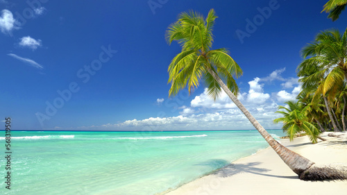 caribbean beach with palms and turquoise water